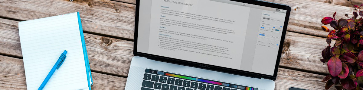 Person viewing document on laptop